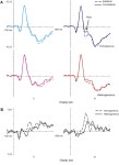 [PDF] Attention selection, distractor suppression and N2pc | Semantic Scholar