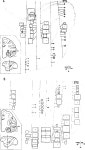 [PDF] Visual areas in the temporal cortex of the macaque | Semantic Scholar