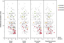[PDF] Meta-analysis of SHANK Mutations in Autism Spectrum Disorders: A Gradient of Severity in Cognitive Impairments | Semantic... 
