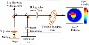 [PDF] Direct Raman imaging techniques for study of the subcellular distribution of a drug. | Semantic Scholar