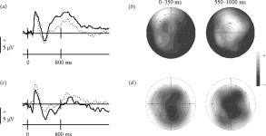 [PDF] The neural basis of episodic memory: evidence from functional neuroimaging. | Semantic Scholar