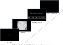 Impairments of emotional face processing in schizophrenia patients: Evidence from P100, N170 and P300 ERP components in a sample... 
