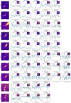 [PDF] The MUSE Deep Lensed Field on the Hubble Frontier Field MACS J0416 | Semantic Scholar
