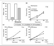 A human homologue of the checkpoint kinase Cds1 directly inhibits Cdc25 phosphatase | Semantic Scholar