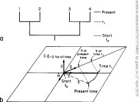[PDF] A rate-independent technique for analysis of nucleic acid sequences: evolutionary parsimony. | Semantic Scholar