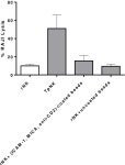 [PDF] Human natural killer cell responses to tumour-priming | Semantic Scholar
