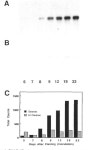 Figure 1 from Molecular characterization of NADH-dependent glutamate synthase from alfalfa nodules. | Semantic Scholar