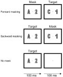 [PDF] Fundamental properties of the N2pc as an index of spatial attention: effects of masking. | Semantic Scholar