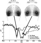 [PDF] Fundamental properties of the N2pc as an index of spatial attention: effects of masking. | Semantic Scholar