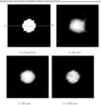 INVERSE PROBLEMS PII: S0266-5611(03)54272-1 Solution of inverse problems in elasticity imaging using the adjoint method... 