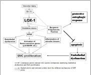 bergamot oil | Semantic Scholar