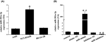 [PDF] β-elemene suppresses Warburg effect in NCI-H1650 non-small-cell lung cancer cells by regulating the miR-301a-3p/AMPKα... 