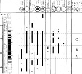 Organic matter and palynomorphs in the ‘Posidonienschiefer’ (Toarcian, Lower Jurassic) of southern Germany | Semantic Scholar
