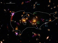 [PDF] The Hidden Fortress: Structure and substructure of the complex strong lensing cluster SDSS J1029+2623 | Semantic Scholar