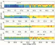 [PDF] Internal tide and nonlinear internal wave behavior at the continental slope in the northern south China Sea | Semantic Scholar