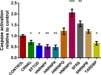 [PDF] Interrogating the role of splicing factors in Huntington’s Disease | Semantic Scholar