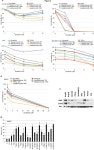 [PDF] Sorafenib Sensitizes Solid Tumors to Apo2L/TRAIL and Apo2L/TRAIL Receptor Agonist Antibodies by the Jak2-Stat3-Mcl1 Axis... 
