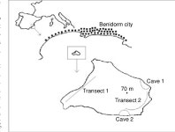 [PDF] Estimating predation on breeding European storm‐petrels (Hydrobates pelagicus) by yellow‐legged gulls (Larus... 