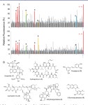Discovery of a Cryptic Antifungal Compound from Streptomyces albus J1074 Using High-Throughput Elicitor Screens. | Semantic Scholar