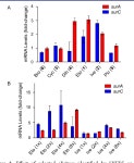 Discovery of a Cryptic Antifungal Compound from Streptomyces albus J1074 Using High-Throughput Elicitor Screens. | Semantic Scholar