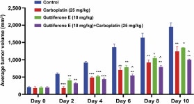 Antitumor Potential of Guttiferone E Combined With Carboplatin Against Osimertinib-resistant H1975 Lung Cancer Through Apoptosis... 