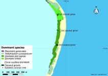 [PDF] Flora and Vegetation of Clipperton (La Passion) Atoll, North-Eastern Pacific Ocean: Three Centuries of Changes and Recent... 
