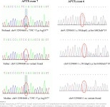 Case report: A novel APTX p.Ser168GlufsTer19 mutation in a Chinese family with ataxia with oculomotor apraxia type 1 | Semantic... 