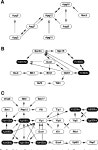 [PDF] A comprehensive two-hybrid analysis to explore the yeast protein interactome | Semantic Scholar