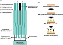 [PDF] Ion-Sensitive Field-Effect Transistor for Biological Sensing | Semantic Scholar