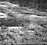 Figure 2-14 from Image processing with multiscale stochastic models | Semantic Scholar