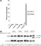 Gefitinib Induces Apoptosis in the EGFRL858R Non–Small-Cell Lung Cancer Cell Line H3255 | Semantic Scholar