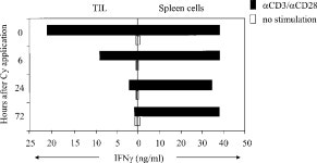 [PDF] Tumor Rejection by Disturbing Tumor Stroma Cell Interactions | Semantic Scholar