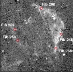 [PDF] Multifrequency study of a new Fe-rich supernova remnant in the Large Magellanic Cloud, MCSNR J0508-6902 | Semantic Scholar