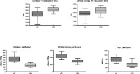 [PDF] Oxidative stress and its haemodynamic consequences in chronic kidney disease | Semantic Scholar