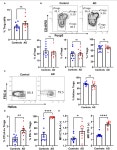 Increased Frequency of CTLA-4 and PD-1 Expressing Regulatory T Cells and Basophils With an Activating Profile in Infants With... 