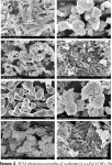 [PDF] Study of Dechlorination Sorbent for Pyrolysis of PVC Containing Wastes | Semantic Scholar