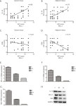 Relationship between IL-10 and PD-L1 in esophageal carcinoma tissues and IL-10 down-regulates PD-L1 expression via Met signaling... 