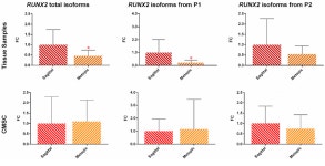 Gain-of-function variants and overexpression of RUNX2 in patients with nonsyndromic midline craniosynostosis. | Semantic Scholar