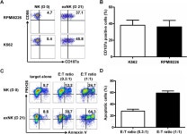 [PDF] PD1 blockade enhances cytotoxicity of in vitro expanded natural killer cells towards myeloma cells | Semantic Scholar