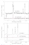 Wd1-5 – binary product and a pre-supernova companion for the magnetar CXOU J1647-45? | Semantic Scholar