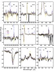 Wd1-5 – binary product and a pre-supernova companion for the magnetar CXOU J1647-45? | Semantic Scholar