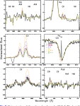 Wd1-5 – binary product and a pre-supernova companion for the magnetar CXOU J1647-45? | Semantic Scholar