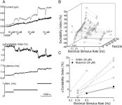 Figure 5 from GABA Increases Electrical Excitability in a Subset of Human Unmyelinated Peripheral Axons | Semantic Scholar