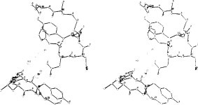 [PDF] Methylation of histidine-48 in pancreatic phospholipase A2. Role of histidine and calcium ion in the catalytic mechanism.... 
