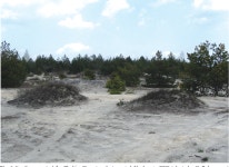 The Blendow desert (pustynia Blędowska) a unique phenomenon of the Polish landscape | Semantic Scholar