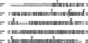 N-acylethanolamine metabolism with special reference to N-acylethanolamine-hydrolyzing acid amidase (NAAA). | Semantic Scholar