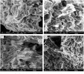 Optimization of microwave-assisted extraction of polyphenols from Myrtus communis L. leaves. | Semantic Scholar