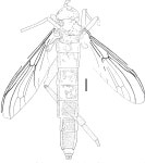 Cannabis ruderalis | Semantic Scholar