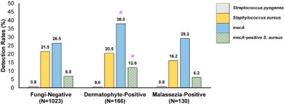[PDF] Molecular Identification of Etiological Agents in Fungal and Bacterial Skin Infections: United States, 2020–2024... 