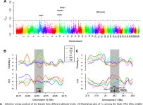 [PDF] Whole-genome sequencing of six dog breeds from continuous altitudes reveals adaptation to high-altitude hypoxia | Semantic... 